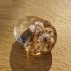 Quartz scénique - lodolite