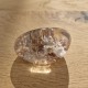 Quartz scénique - lodolite