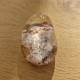 Quartz scénique - lodolite