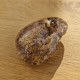 Quartz scénique - lodolite
