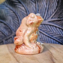Jaspe rouge - grenouille