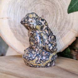 Jaspe forêt tropicale - grenouille