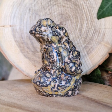 Jaspe forêt tropicale - grenouille