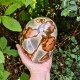 Jaspe polychrome - forme libre