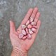 Rhodochrosite