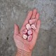 Rhodochrosite