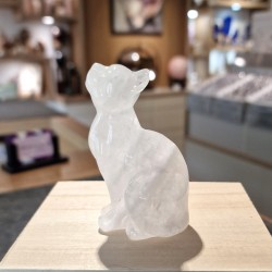 Cristal de roche - chat