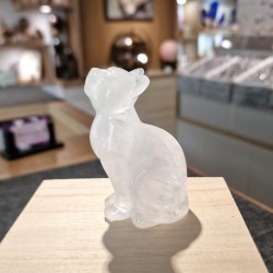 Cristal de roche - chat