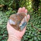 Quartz chlorite - coeur