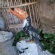 Onyx et quartz tourmaline - toucan