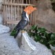 Onyx, calcite orange et quartz gris - toucan