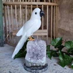 Calcite - oiseau