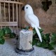 Onyx, calcite orange et quartz gris - oiseau