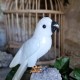 Onyx, calcite orange et quartz gris - oiseau
