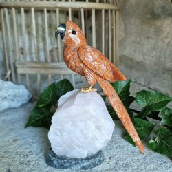 Calcite - oiseau