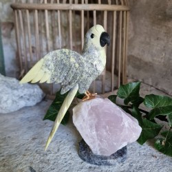 Serpentine - oiseau