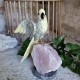 Caclcite - oiseau