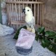 Caclcite - oiseau