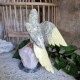 Caclcite - oiseau