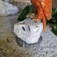 Calcite orange - oiseau