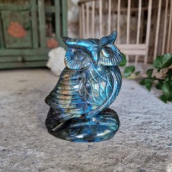 Labradorite - hibou