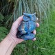 Labradorite - hibou