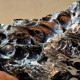 Obsidienne à bulles