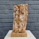 Bois fossile de Belgique