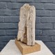Bois fossile de Belgique
