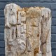 Bois fossile de Belgique