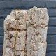 Bois fossile de Belgique