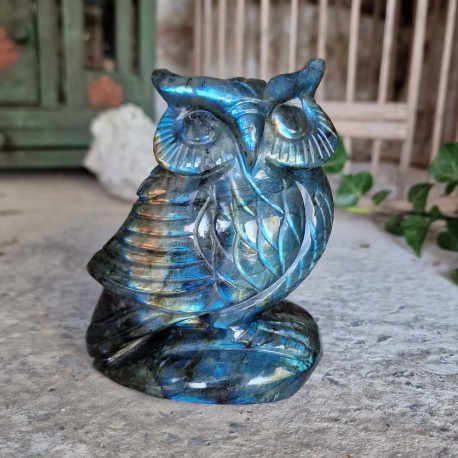 Labradorite - hibou