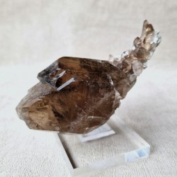 Quartz fumé - Argentière , Mont-Blanc