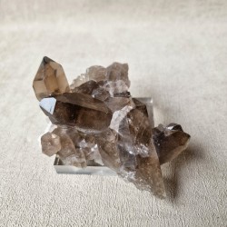 Quartz fumé - Argentière , Mont-Blanc