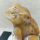 Agate - grenouille