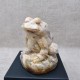 Agate - grenouille