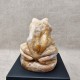 Agate - grenouille
