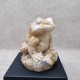 Agate - grenouille
