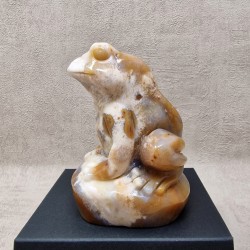 Agate - grenouille