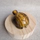 Oeil de tigre - tortue