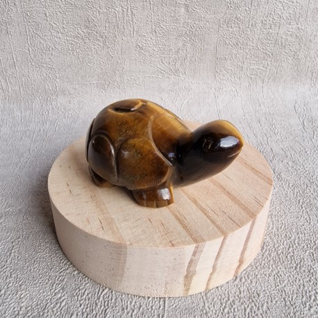 Oeil de tigre - tortue