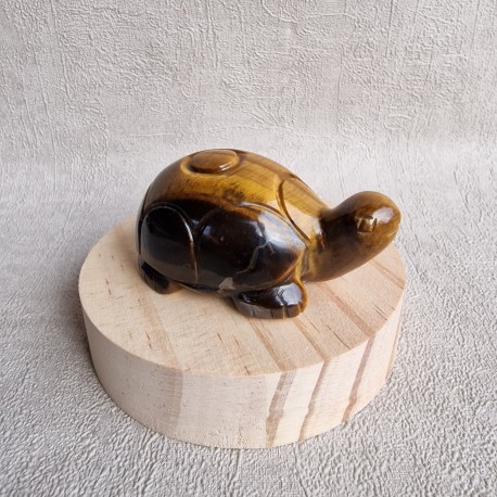 Oeil de tigre - tortue
