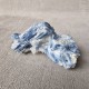 Cyanite - kyanite - disthène