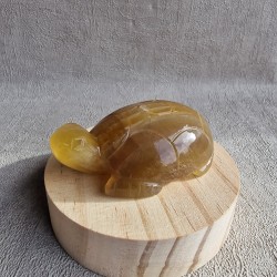 Fluorite jaune - tortue