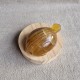 Fluorite jaune - tortue