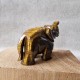 Oeil de Tigre - Éléphant