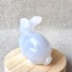 Calcédoine Bleue - Lapin