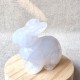 Calcédoine Bleue - Lapin