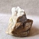 Calcite Chanxhe- Sprimont - Belgique