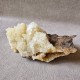 Calcite Chanxhe- Sprimont - Belgique